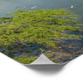 川Kwaiを通る橋 ポスター (角)