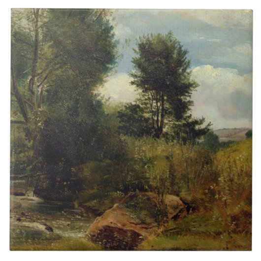 川Sidの眺め、Sidmouthの近くで、c.1852 (油 タイル (正面)
