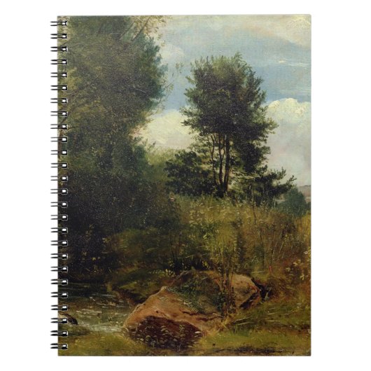 川Sidの眺め、Sidmouthの近くで、c.1852 (油 ノートブック (正面)