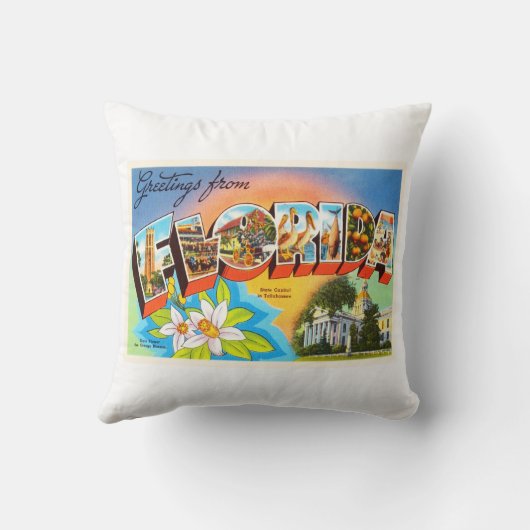 州のフロリダFLの古いヴィンテージ旅行記念品 クッション (裏面)