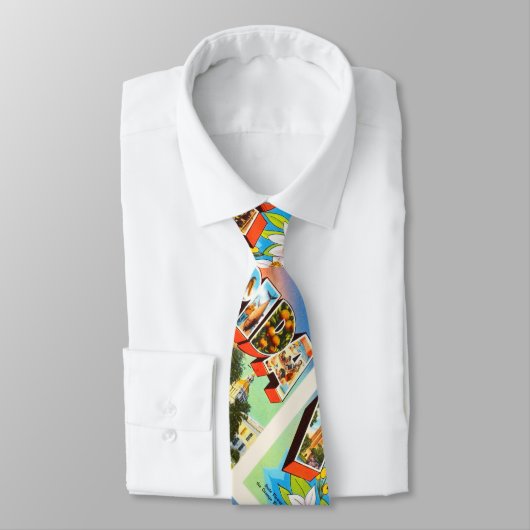 州のフロリダFLの古いヴィンテージ旅行記念品 ネクタイ (タイ)