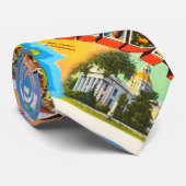 州のフロリダFLの古いヴィンテージ旅行記念品 ネクタイ (ロール)