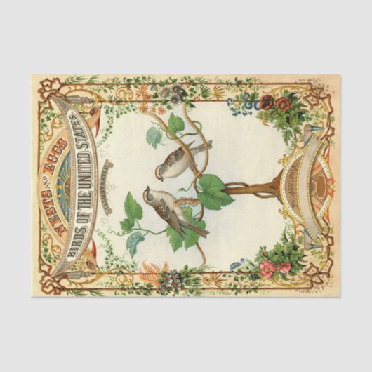 州の巣と卵統一された鳥 薄葉紙 (正面)
