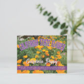 州の花カリフォルニアのポピー ポストカード (スタンド正面)
