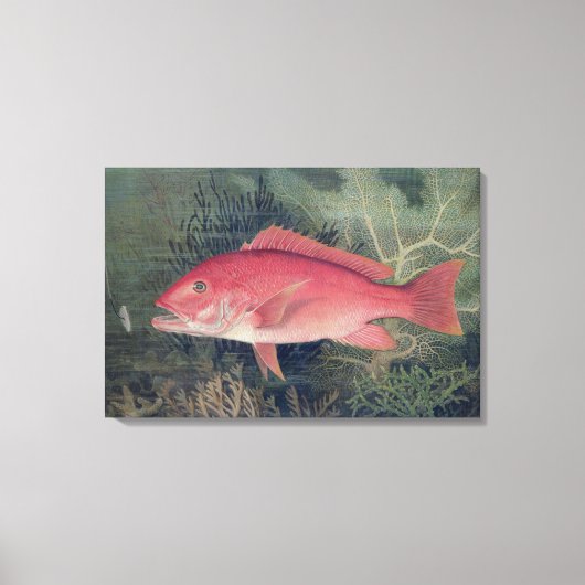 州の魚の遊び口から赤菜統一された花 キャンバスプリント (正面)
