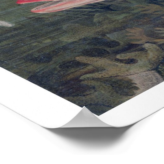 州の魚の遊び口から赤菜統一された花 ポスター (角)