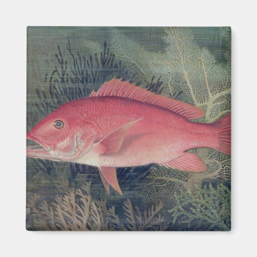 州の魚の遊び口から赤菜統一された花 マグネット (正面)