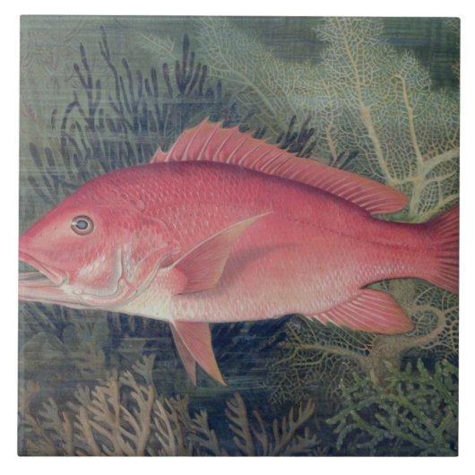 – 『州の魚』より統一された。 タイル (正面)