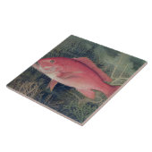 – 『州の魚』より統一された。 タイル (側面)