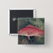  – 『州の魚』より統一された。 缶バッジ (正面&裏面)