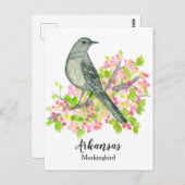 州の鳥アーカンサスモッキンバードアップルブロッサム ポストカード (正面/裏面)