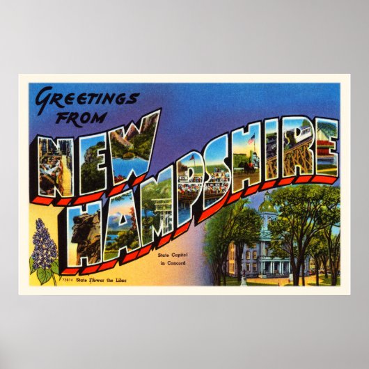 州オブニューハンプシャーNHヴィンテージトラベルサミナリー ポスター (正面)