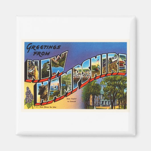 州オブニューハンプシャーNHヴィンテージトラベルサミナリー マグネット (正面)