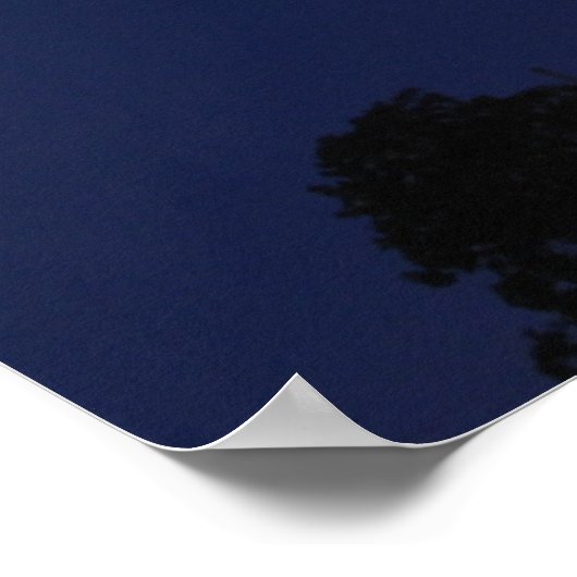 州ス統一されたカピトル建物アットナイト ポスター (角)