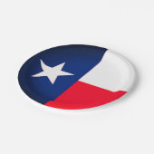 州テキサス州紙プレート ペーパープレート (アングル)
