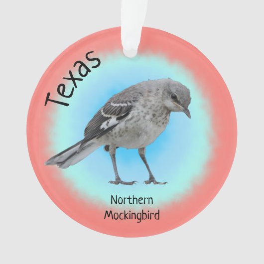 州バードオブテキサス州 オーナメント (正面)