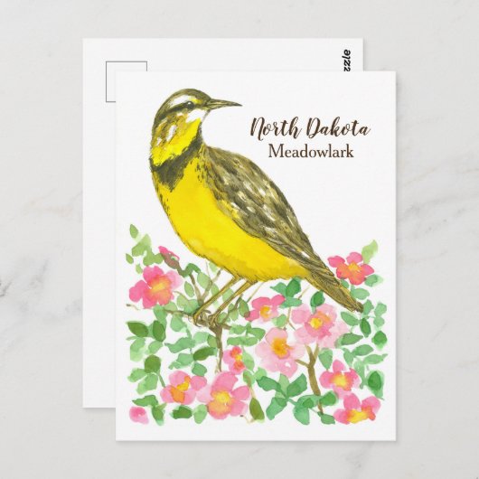 州バードオブノースダコタメドウラルクバラ ポストカード (正面/裏面)