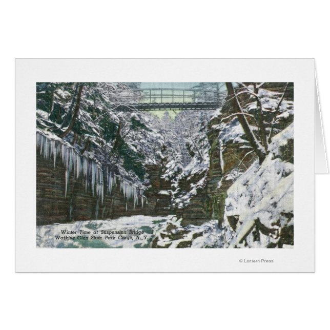 州パークゴージサスペンションブリッジビューイン (正面横)