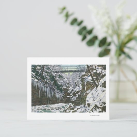 州パークゴージサスペンションブリッジビューイン ポストカード (スタンド正面)