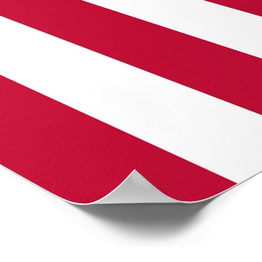 州フラグの正しい垂直統一された表示 ポスター (角)