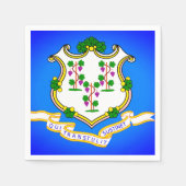 州フラージオブコネチカット紙パーティーナプキンス スタンダードカクテルナプキン (正面)