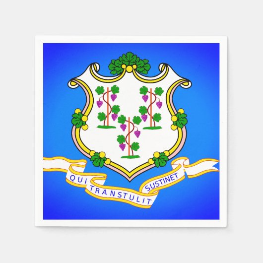 州フラージオブコネチカット紙パーティーナプキンス スタンダードカクテルナプキン (正面)