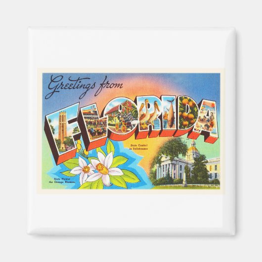 州フロリダFLオールドヴィンテージ旅行記念品 マグネット (正面)