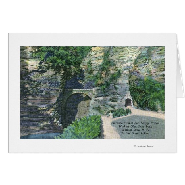 州公園入口トンネルと歩道橋 (正面横)