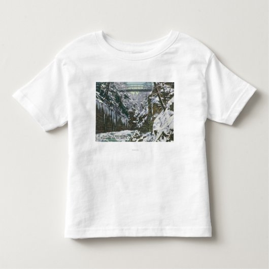 州立公園の峡谷の吊り橋の眺め トドラーTシャツ (正面)