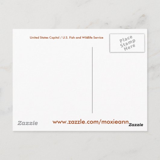 州統一されたキャピトル、ワシントンD.C. ポストカード (裏面)