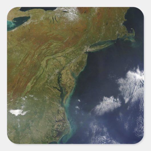 州統一されたズイーストコースト スクエアシール (正面)