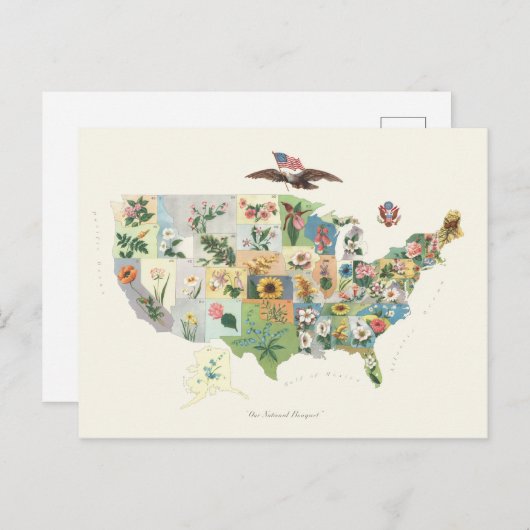 州統一されたフラワーマップ – 私たちのナショナルブーケ ポストカード (正面/裏面)