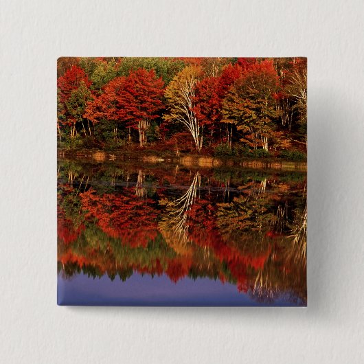 州統一された、ミシガン、上部半島。秋 缶バッジ (正面)