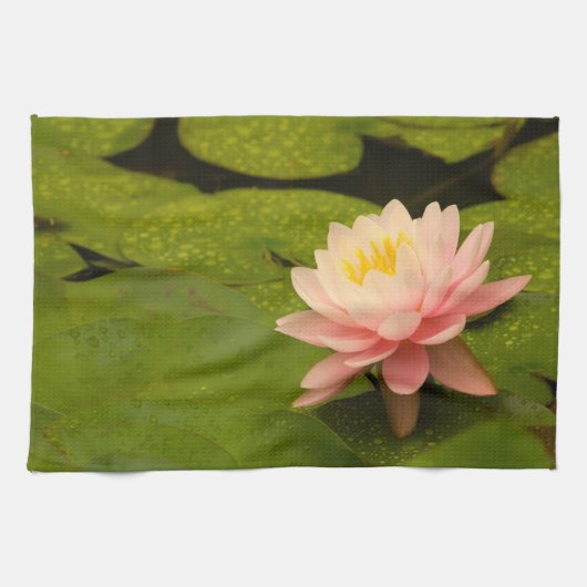 州統一された、メリーランド、ウェストミンスター、ユニオン2 キッチンタオル (横)