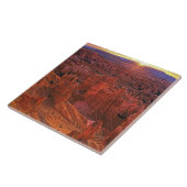 州統一された、ユタ、ブライス峡谷国立公園。 タイル (側面)