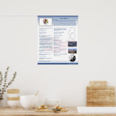 州・オブ・イリノイ， ILポスター ポスター (キッチン)