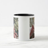 州、ワシン統一されたトン、D.C.教皇ベネディクト マグカップ (中央)