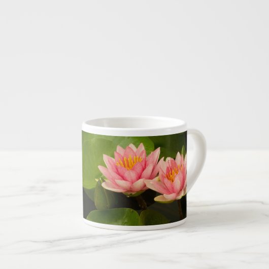 州、統一されたDC、ワシントン、ケニルワース4 エスプレッソカップ (正面右)