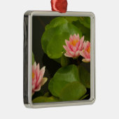 州、統一されたDC、ワシントン、ケニルワース4 メタルオーナメント (右)