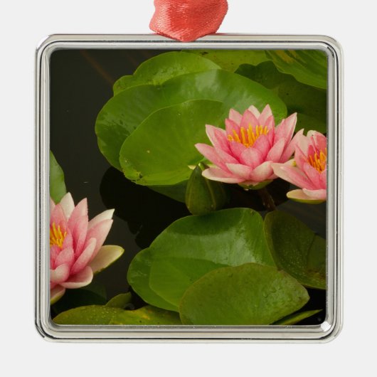 州、統一されたDC、ワシントン、ケニルワース4 メタルオーナメント (正面)