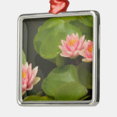 州、統一されたDC、ワシントン、ケニルワース4 メタルオーナメント (左)