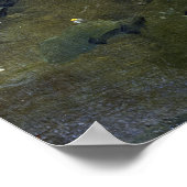 巡査 – ゴボウ勉強 ポスター (角)