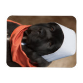 巡礼犬マグネット マグネット (横)