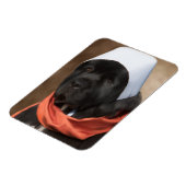 巡礼犬マグネット マグネット (左側)