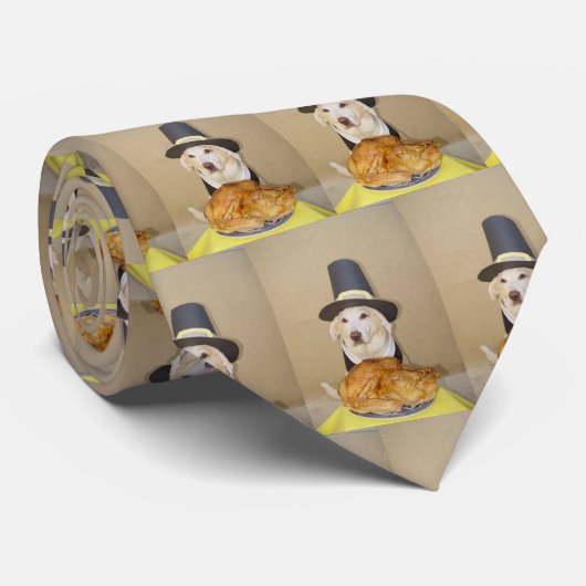 巡礼者のタイ ネクタイ (ロール)