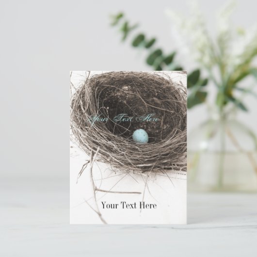 巣と卵 ポストカード (スタンド正面)