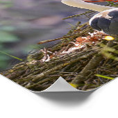 巣に白いコウノトリがいる ポスター (角)