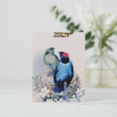 巣のはがきの鳥 ポストカード (スタンド正面)