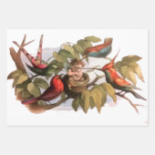 巣のウッドランド小妖精や小人:アンティークバードスプライトフェアリー ラッピングペーパーシート (正面)