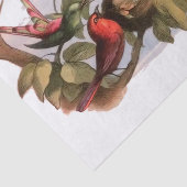 巣のウッドランド小妖精や小人:アンティークバードスプライトフェアリー 薄葉紙 (詳細)